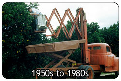 Mechanical Harvesting: 1950s to 1980s