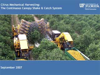 Citrus Mechanical Harvesting: The Continuous Canopy Shake & Catch System