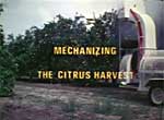 Mechanizing the Citrus Harvest