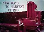 News Ways to Harvest Citrus